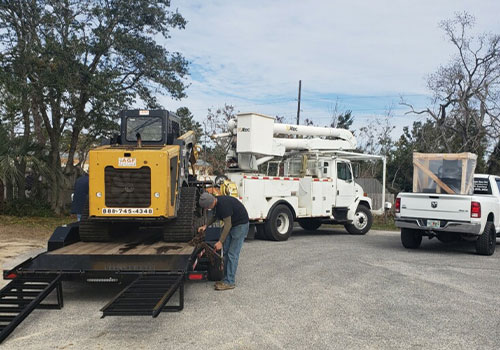 Bucket Truck Removing Tree Limbs