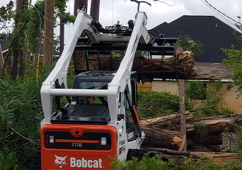 Bobcat Moving Tree Limbs